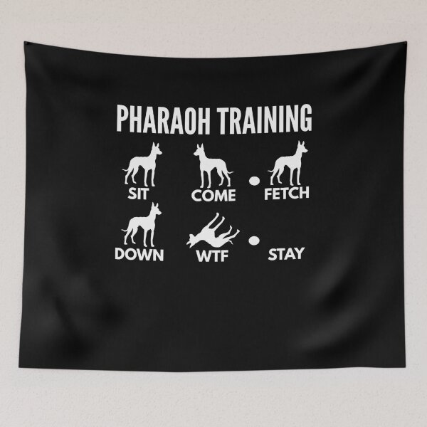 Item preview, Pharaoh Training - Pharaoh Hound Tricks designed and sold by DoggyStyles.