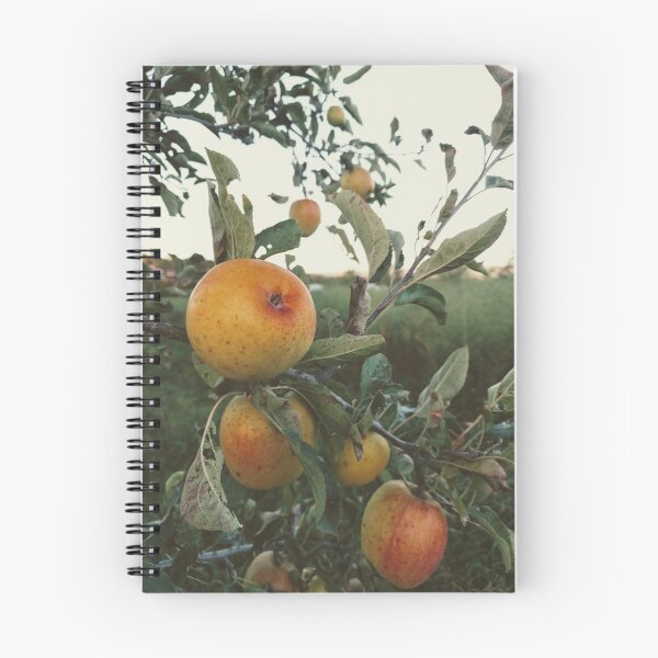 Item preview, Apples of New York's Eyes designed and sold by PlaidPancakes.