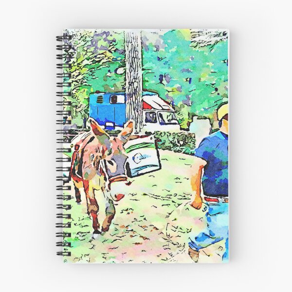 Item preview, Man pulls a donkey for garbage collection in the park designed and sold by Giuseppe Cocco.