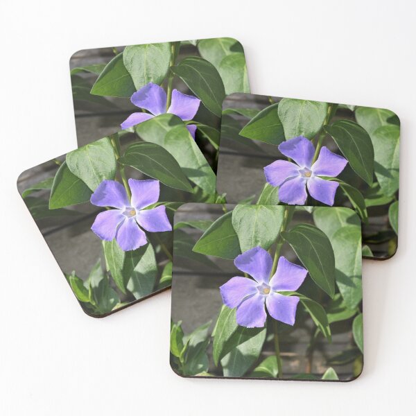Item preview, Vinca designed and sold by DonnaM.