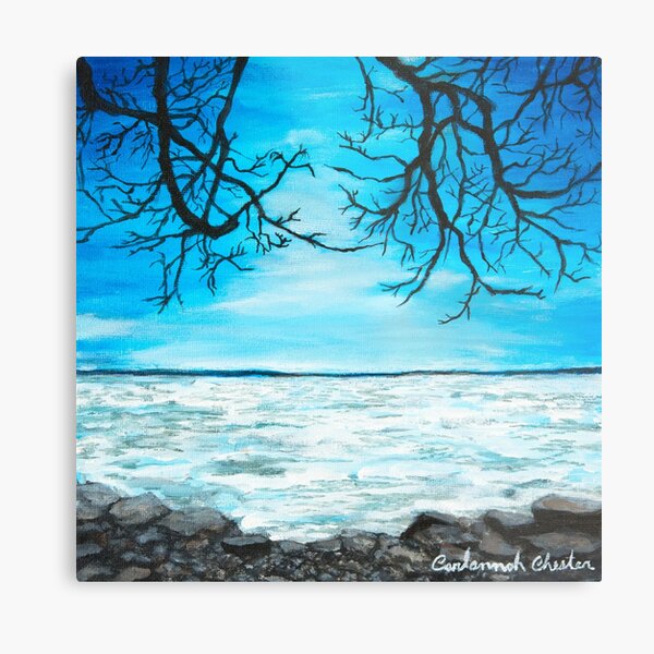 Frozen Lake Metal Print