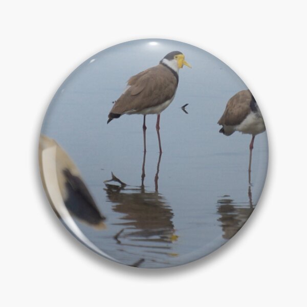 Item preview, Plovers designed and sold by D-GaP.
