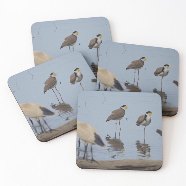 Item preview, Plovers designed and sold by D-GaP.