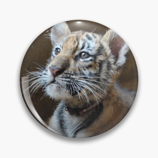 Item preview, Cute Tiger designed and sold by travelnerd.