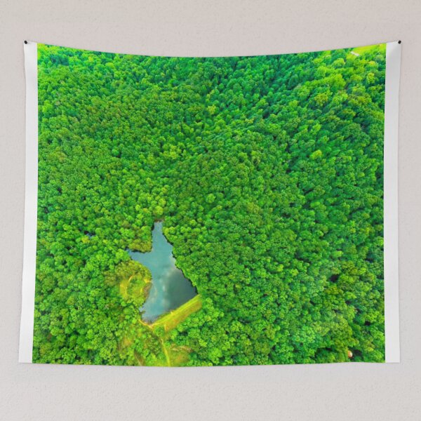 Item preview, Mitchel Hill Lake at Jefferson Memorial Forest designed and sold by Dimo Petrov.