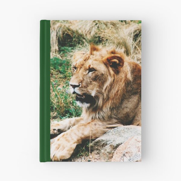 Item preview, LEÓN AFRICANO - ACOSTADO EN LA SABANA - FOTOGRAFÍA DE LA VIDA SILVESTRE DE ANIMALES AFRICANOS designed and sold by Photograff.