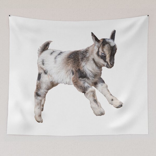 Item preview, Bouncing Baby Goat VIII designed and sold by OryPhotography.