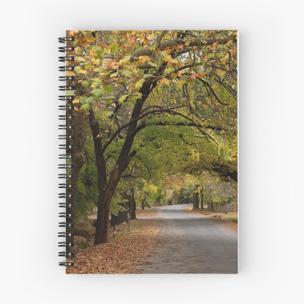 Item preview, Along the Laneway _ Hill End designed and sold by Barbara Burkhardt.