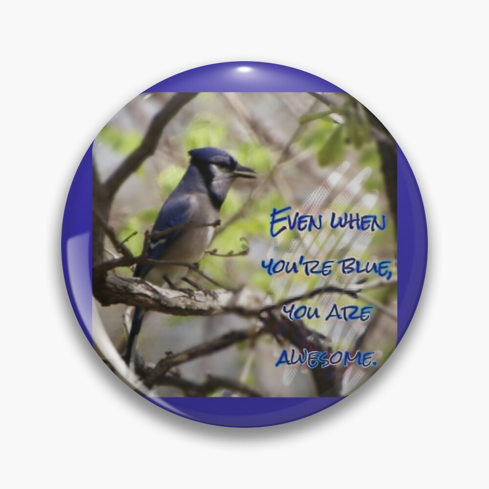 Pin on blue jay