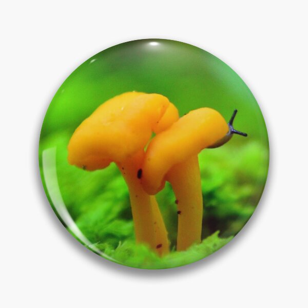Item preview, Chanterelle Mushroom with Slug designed and sold by fungimages.