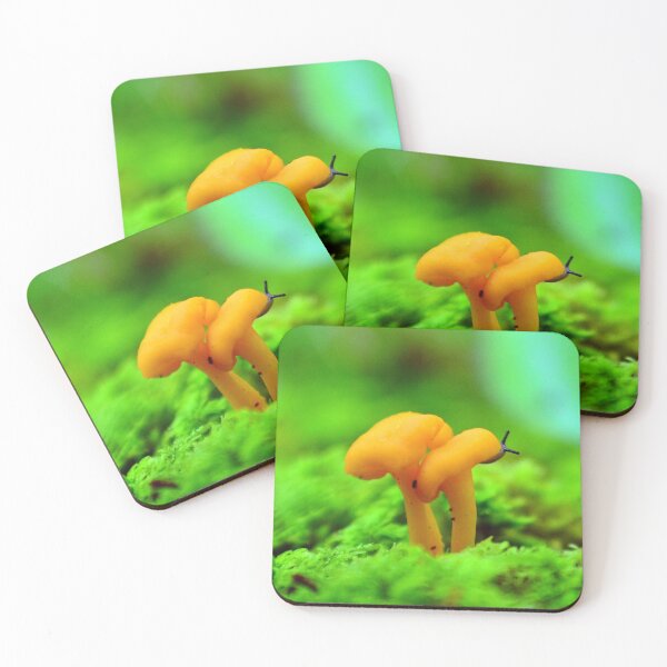 Item preview, Chanterelle Mushroom with Slug designed and sold by fungimages.