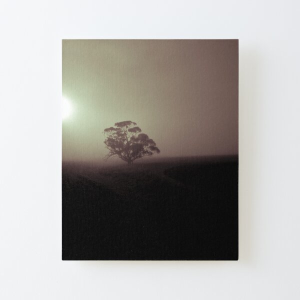 Martian Sunrise Canvas Mounted Print