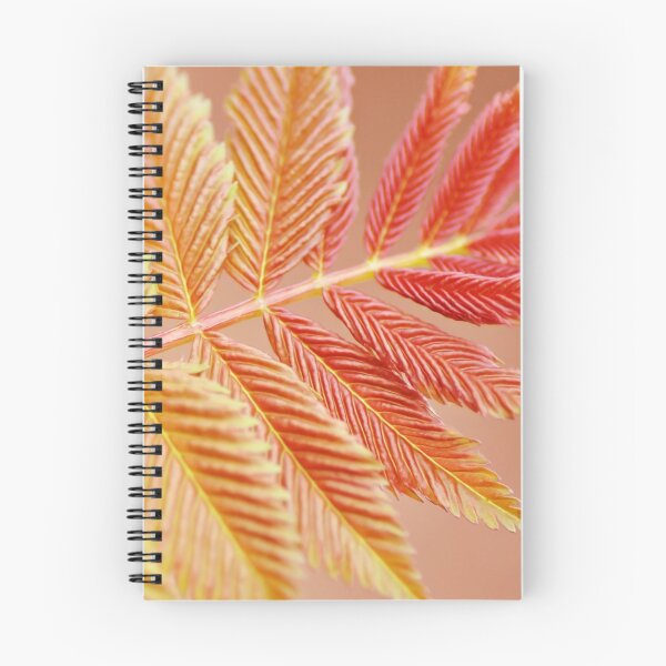 Item preview, Pretty peachy pink and orange colors photograph, a calming image of a beautiful leaf, with soft smoothing effect designed and sold by Orianah.
