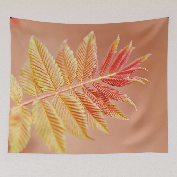 Item preview, Pretty peachy pink and orange colors photograph, a calming image of a beautiful leaf, with soft smoothing effect designed and sold by Orianah.