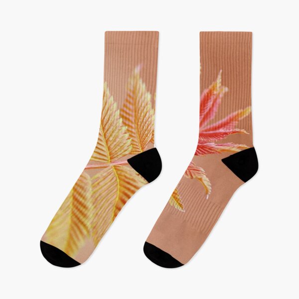 Item preview, Pretty peachy pink and orange colors photograph, a calming image of a beautiful leaf, with soft smoothing effect designed and sold by Orianah.