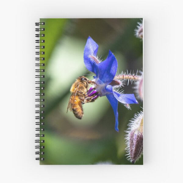 Item preview, Borage Flower Bee designed and sold by FigTreeMagick.