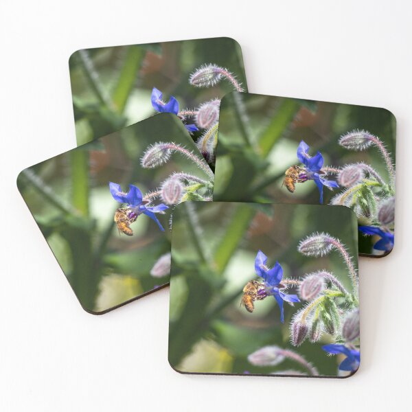 Item preview, Borage Flower Bee designed and sold by FigTreeMagick.