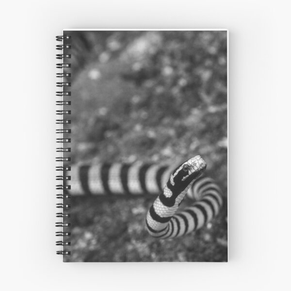 Item preview, Banded Sea Krait in Black and White designed and sold by Brent Barnes.