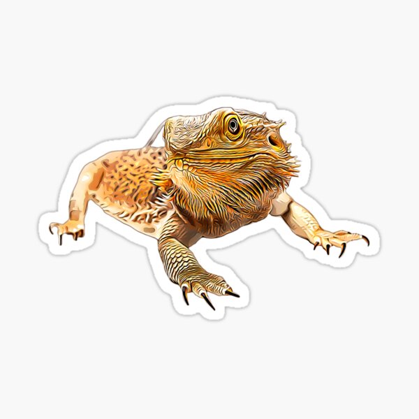 Item preview, Bearded Dragon - Look at me! designed and sold by Elarex.