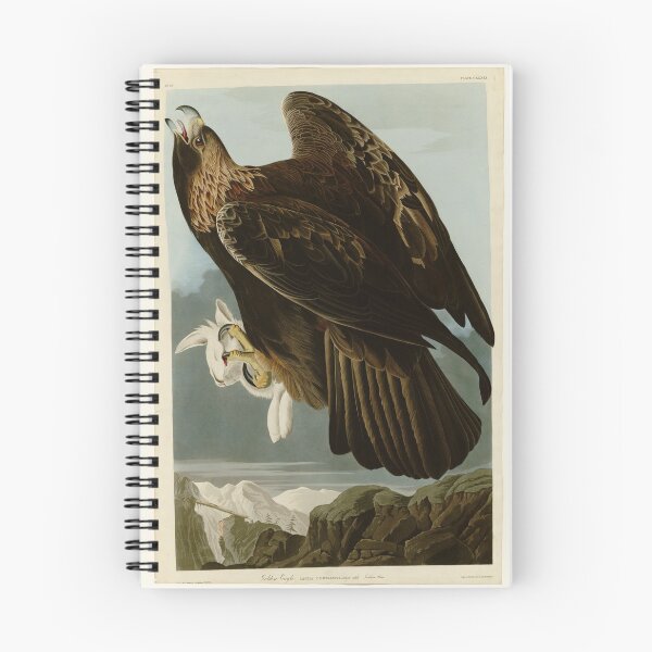 Item preview, 181 Goldon Eagle designed and sold by Bird-Lore.
