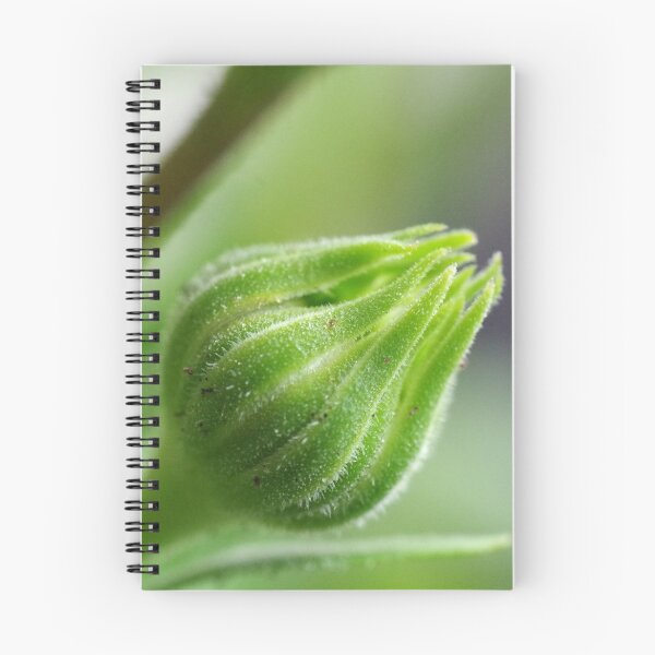 Item preview, Fully Closed Bud 2/5 designed and sold by rom01.