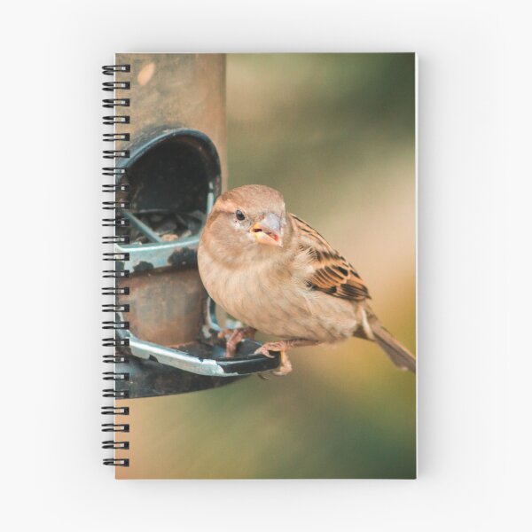 Artikelvorschau,  Finch sitzt auf einem Feeder entworfen und verkauft von Michael Deemer.