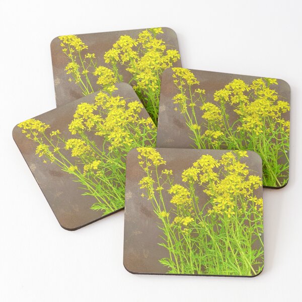 Item preview, canola flower designed and sold by Mari Uesugi.