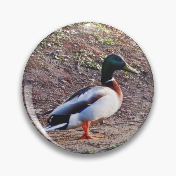 Item preview, Mallard designed and sold by OMdesigns93.