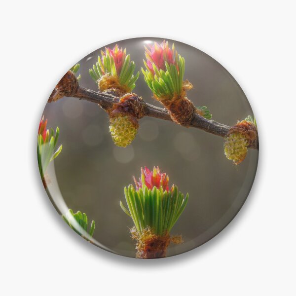Item preview, Larch designed and sold by Veikko  Suikkanen.