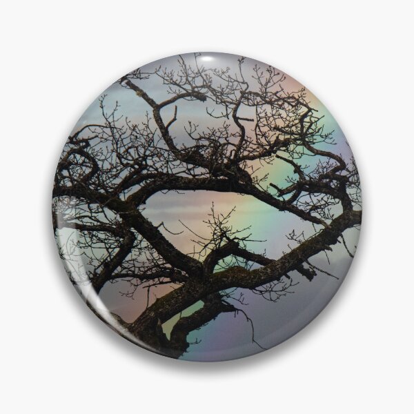 Item preview, Millarochy Tree Rainbow designed and sold by Thistle Images.