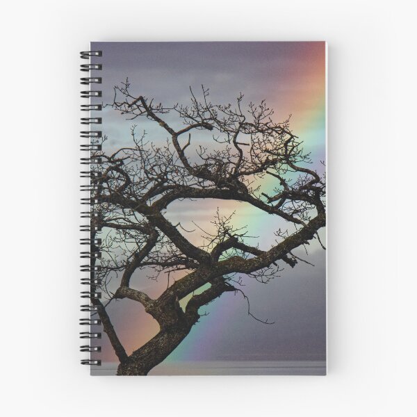 Item preview, Millarochy Tree Rainbow designed and sold by Thistle Images.