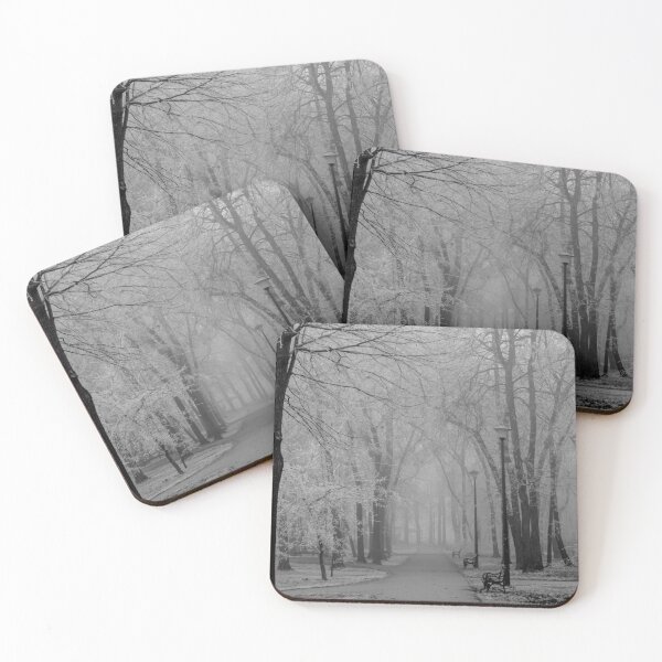 Item preview, Black and white forrest park in Subotica, Serbia designed and sold by nikola993.