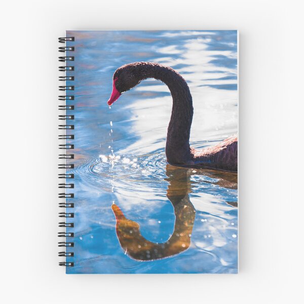 Item preview, Swan reflecting designed and sold by Teniche.