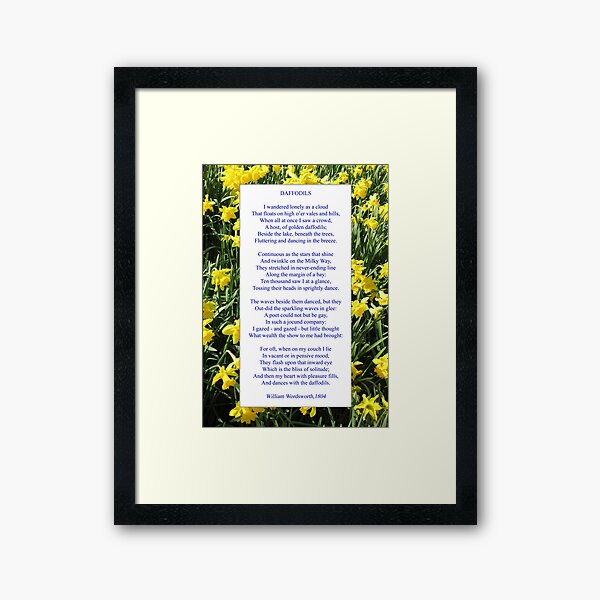 Wordsworth's "Daffodils", especially good as a card. Framed Art Print