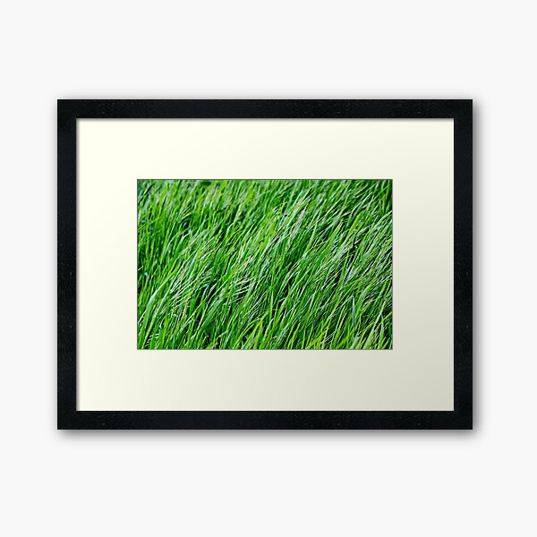 Item preview, Green grass  designed and sold by Light79.