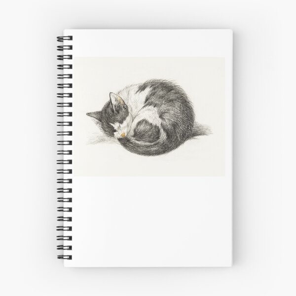 Item preview, 'Gato durmiente' de Jean Bernard Duvivier designed and sold by MuseumPrint.