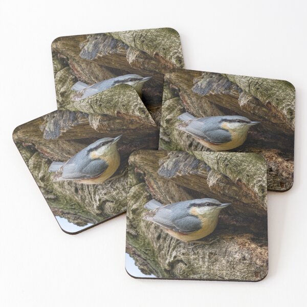 Item preview, Nesting Nuthatch designed and sold by Adrian Rowley.
