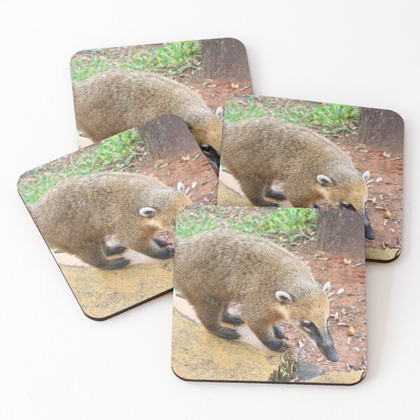 Item preview, South American coatimundi animal, Argentina designed and sold by FranWest.