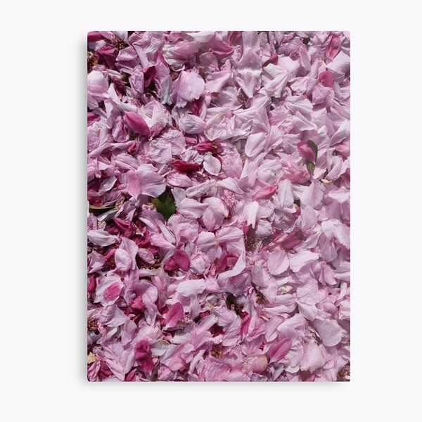 Item preview, Fallen petals and leaf in contrasting shades of pink designed and sold by HannahLynes.