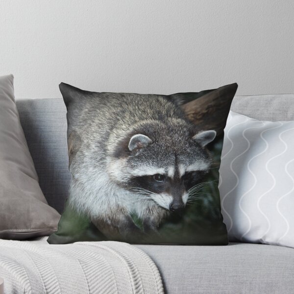 Item preview, Raccoon designed and sold by RandyHume.