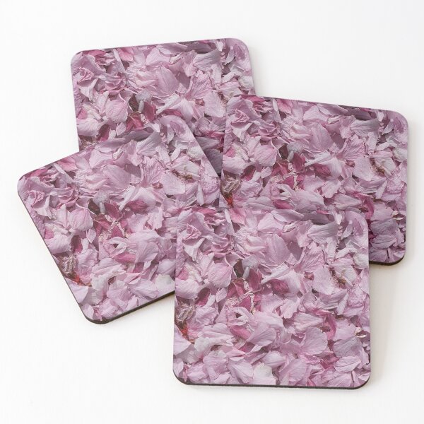 Fallen petals in contrasting shades of pink - closeup Coasters (Set of 4)