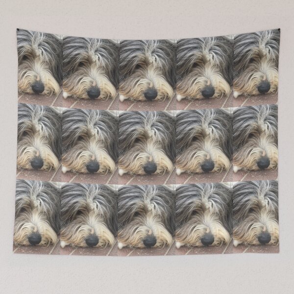 Item preview, Bearded Collie Nap Time - Always got one eye open just in case! designed and sold by Bucklandcrafts.