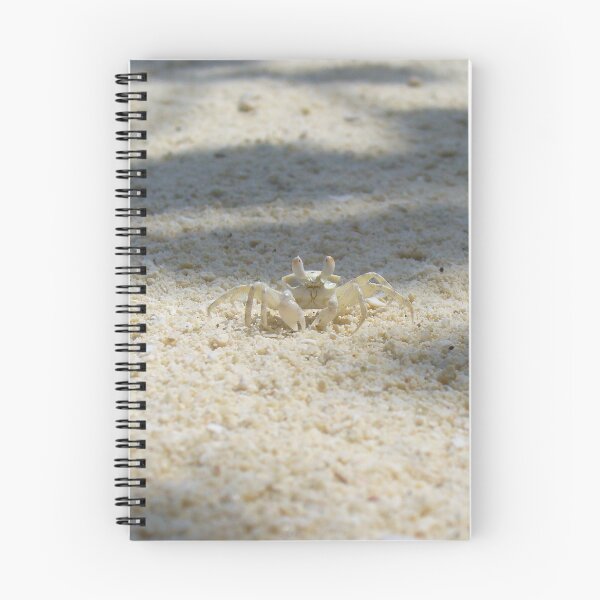 Item preview, Cute Sand Crab designed and sold by KaSaPo.