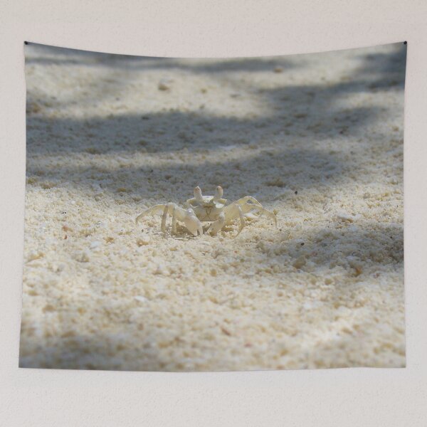 Item preview, Cute Sand Crab designed and sold by KaSaPo.