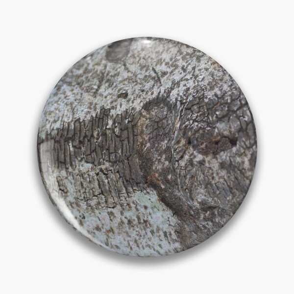 Item preview, Closeup of Tree Bark Texture designed and sold by Sinemathk.