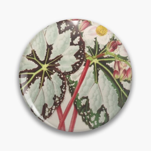 Item preview, Vintage Begonia Botanical Print designed and sold by NineVi.