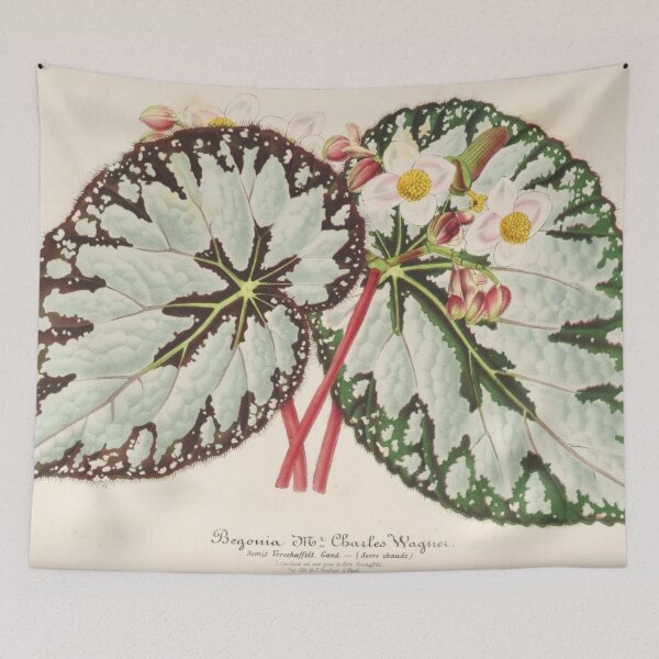 Item preview, Vintage Begonia Botanical Print designed and sold by NineVi.