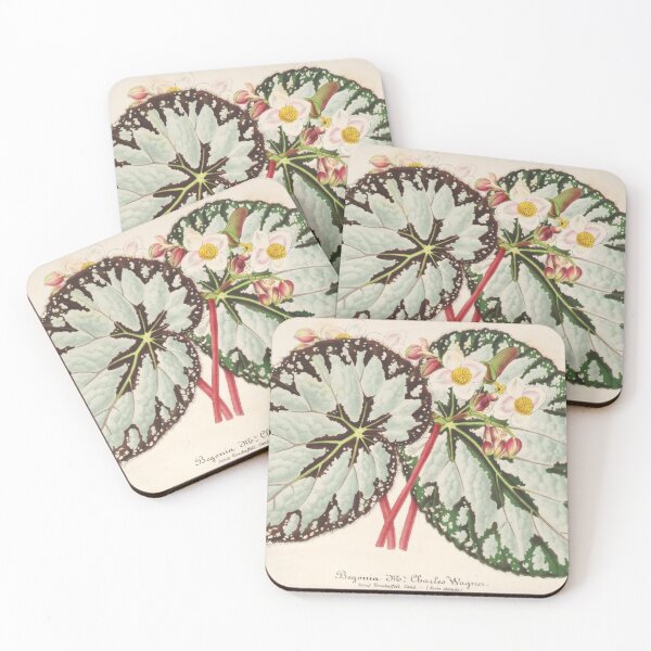 Item preview, Vintage Begonia Botanical Print designed and sold by NineVi.