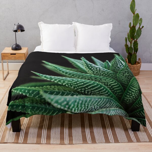 Item preview, Haworthia Fasciata, Zebra Haworthia or Zebra Plant, a magnificent succulent with beautiful dark green leaves and white stripes. designed and sold by Orianah.