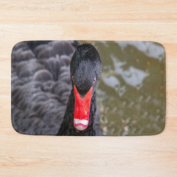 Item preview, Head of a Black Swan designed and sold by Dalyndigital Photography.